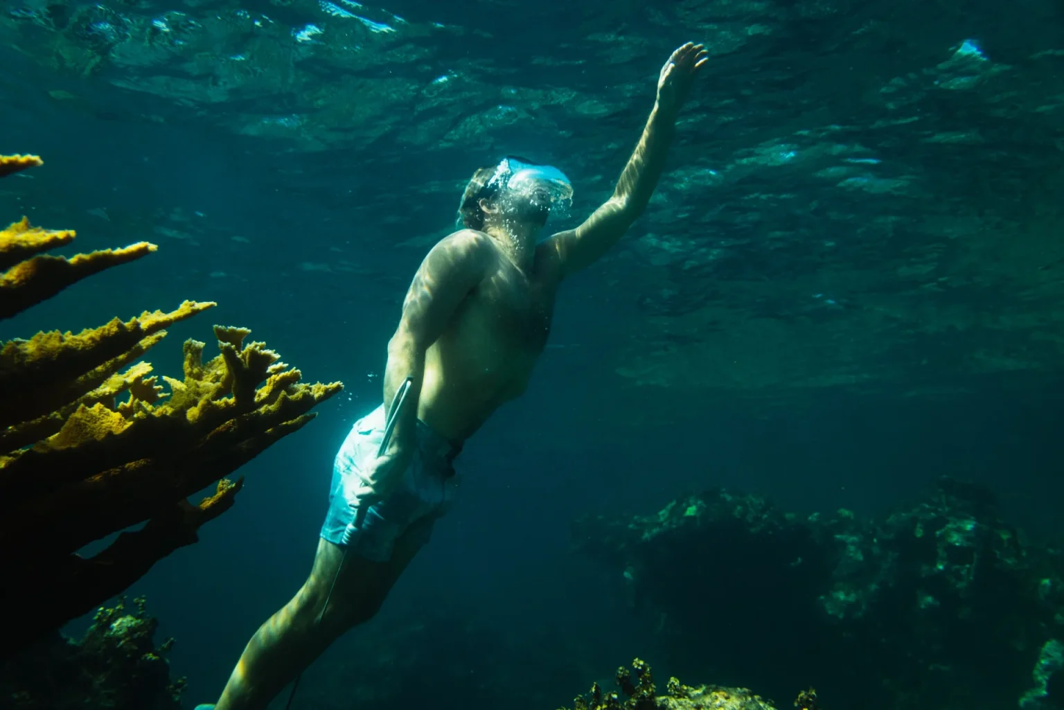 snorkel in abaco