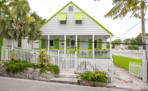 Cotton Tree - Eleuthera - Harbour Island (1)