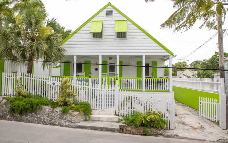 Cotton Tree - Eleuthera - Harbour Island (1)