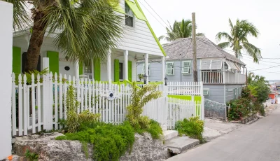 Cotton Tree - Eleuthera - Harbour Island (2)