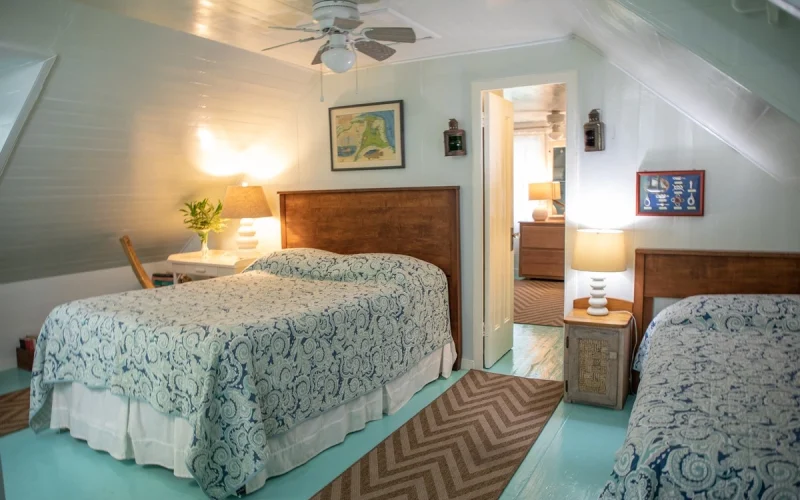 Cotton Tree - Eleuthera - Harbour Island (23)