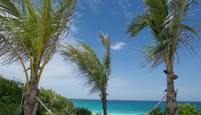 Dune House - Eleuthera - Harbour Island (30)