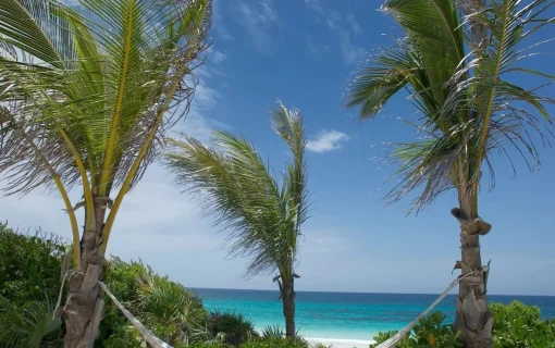 Dune House - Eleuthera - Harbour Island (30)