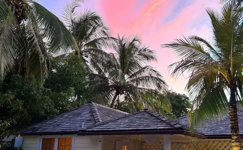 Fig Tree - Eleuthera - Harbour Island (29)