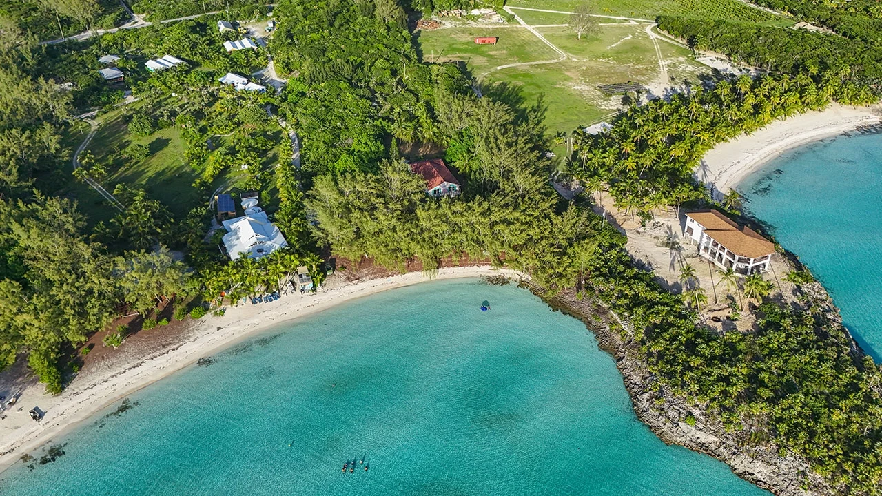 Moonflower - Gregory Town - Eleuthera (1)