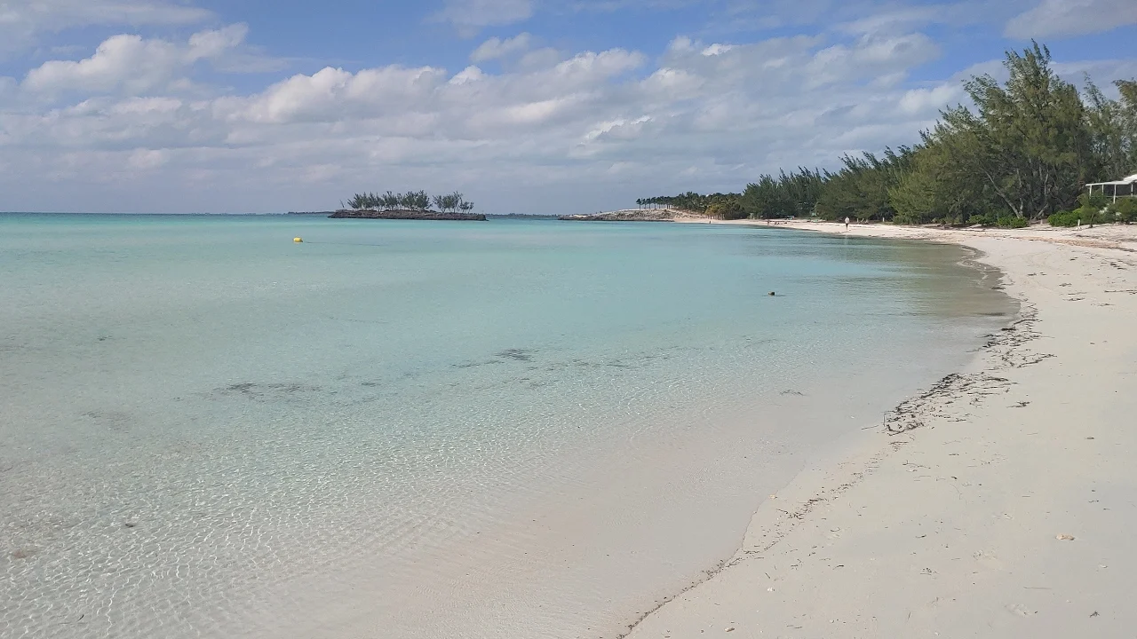 Moonflower - Gregory Town - Eleuthera (25)