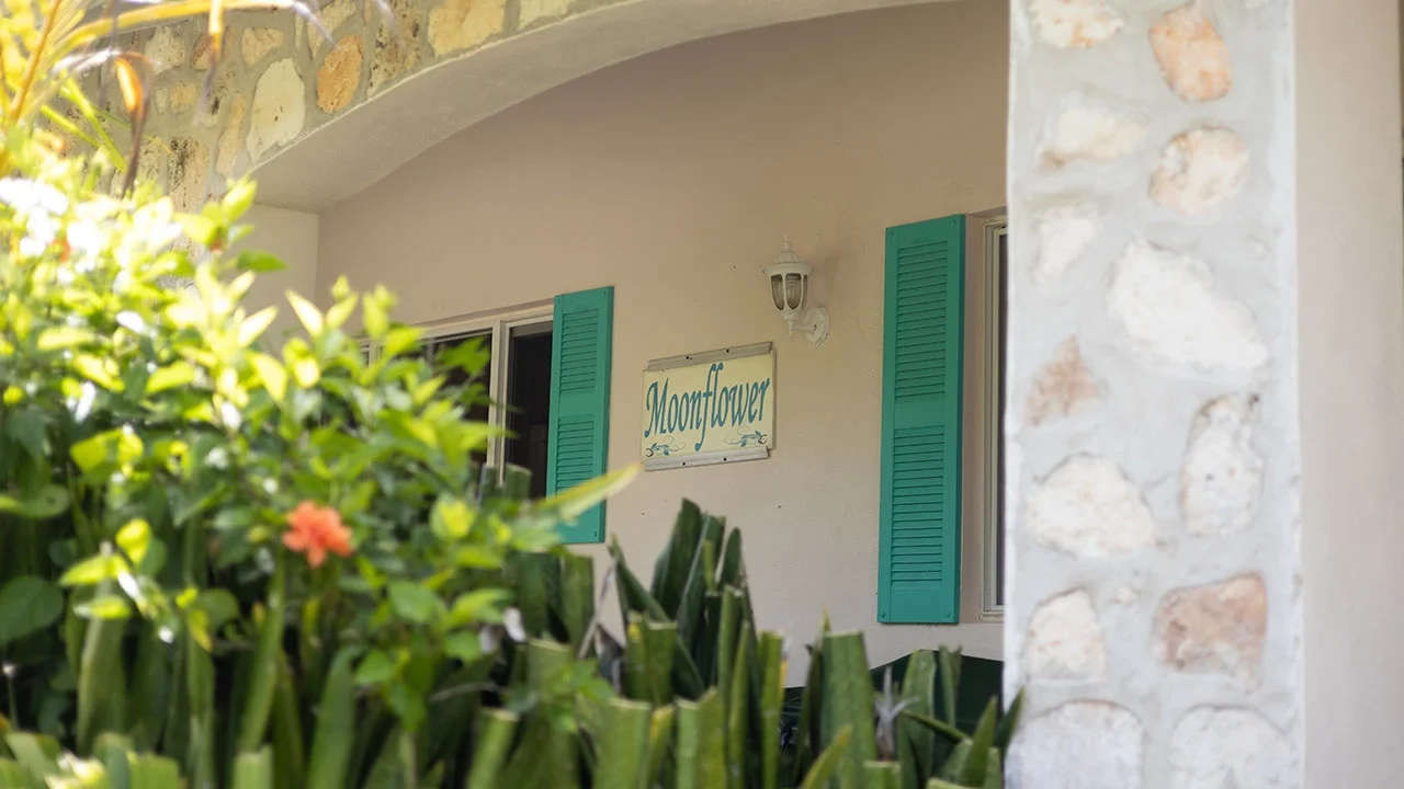 Moonflower - Gregory Town - Eleuthera (30)