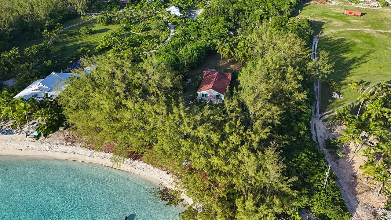 Moonflower - Gregory Town - Eleuthera (31)