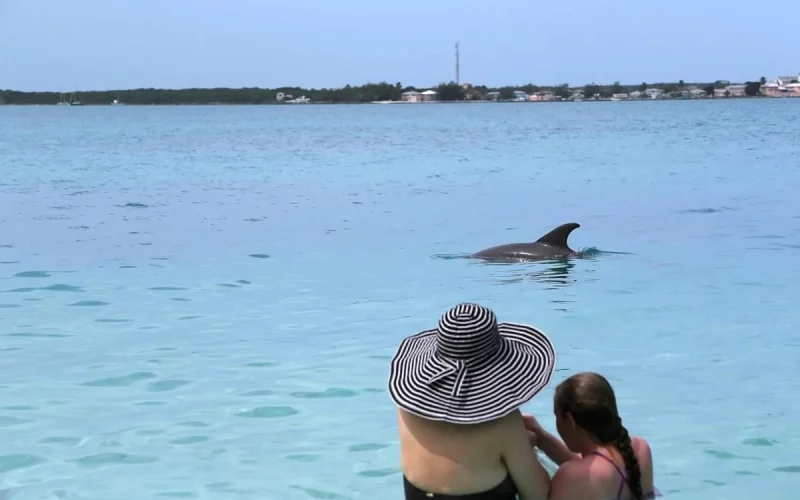 The Breakwater - Exuma - Great Exuma (35)